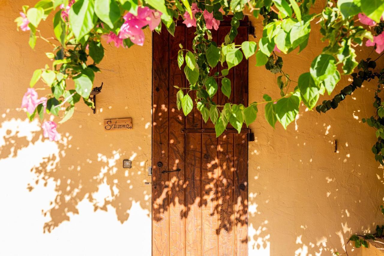 Las Mariposas San Antonio  Eksteriør billede