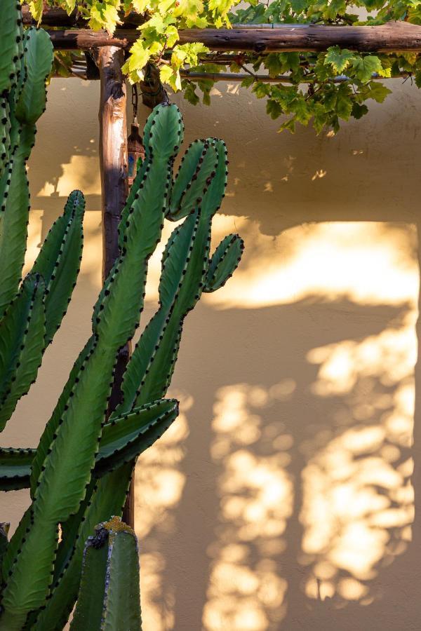 Las Mariposas San Antonio  Eksteriør billede
