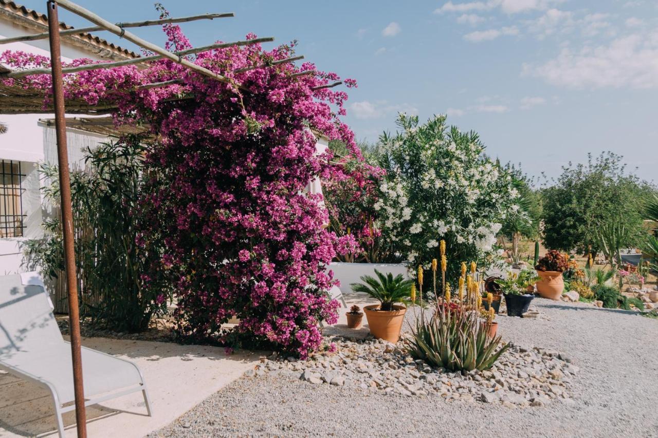 Las Mariposas San Antonio  Eksteriør billede